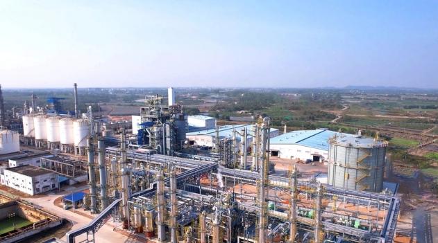  2026年开局之势：上海市政协会议背后的深层逻辑 新闻