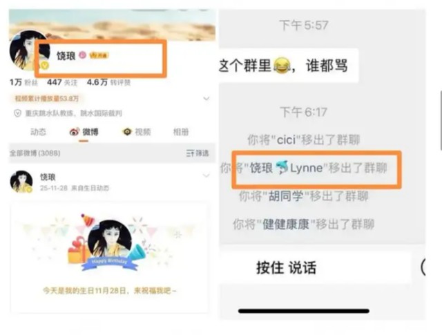  奥运冠军遭遇「熟人霸凌」：282人业圈群聊的系统性解构 体育新闻