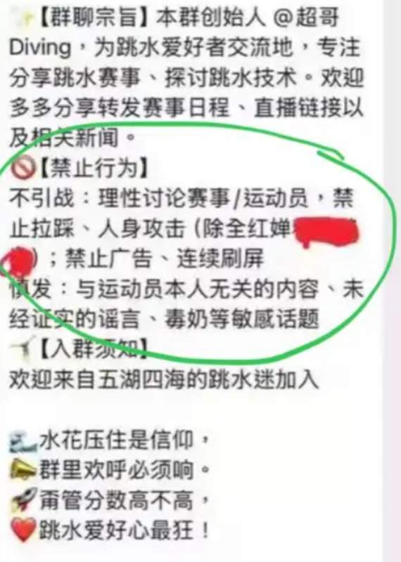  奥运冠军遭遇「熟人霸凌」：282人业圈群聊的系统性解构 体育新闻