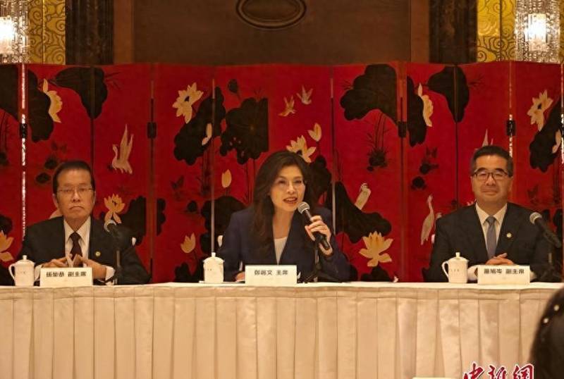  从虹桥到中南海：郑丽文六天大陆行背后的战略逻辑与技术解码 新闻