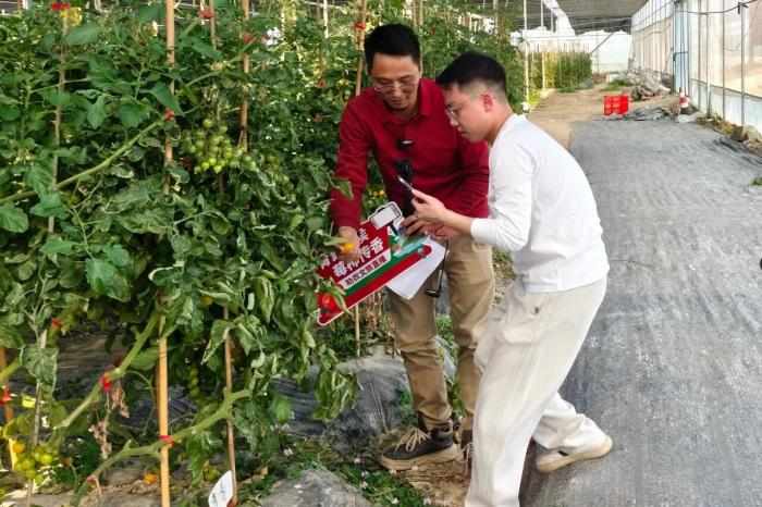  青春担当·青年力量：厦门青年突击队点燃重点项目攻坚引擎 新闻 青春担当·青年力量：厦门青年突击队点燃重点项目攻坚引擎 新闻