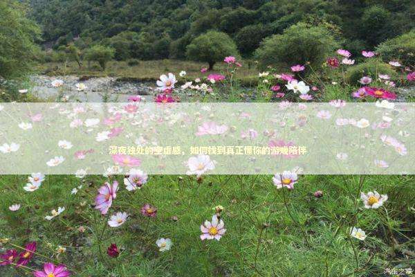 深夜独处的空虚感，如何找到真正懂你的游戏陪伴 新闻