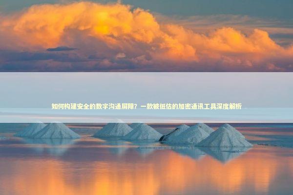 如何构建安全的数字沟通屏障？一款被低估的加密通讯工具深度解析