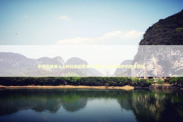 职场高敏感人士的社交避风港：构建个人隐私保护的数字防线