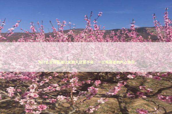 为什么足球直播让无数人欲罢不能：一位观赛者的内心独白 体育新闻