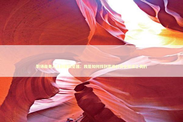 职场商务人士的隐私觉醒：我是如何找到靠谱的安全加密工具的 IT技术