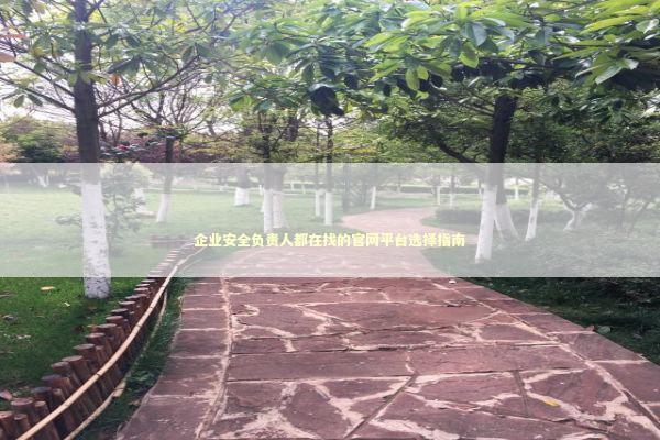 企业安全负责人都在找的官网平台选择指南 IT技术